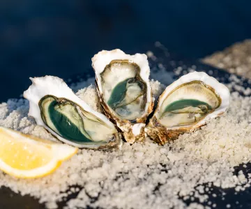 Huîtres Saint-Denis d'Oléron