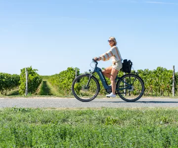 Locations de vélo Saint-Denis d'Oléron