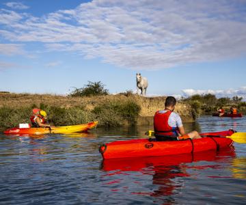 Kayak Saint-Denis d'Oléron