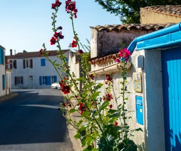 Location de vacances, Saint-Denis d'Oléron