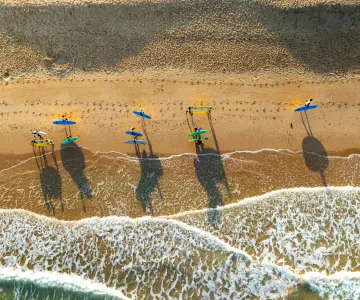 Surf et bodyboard