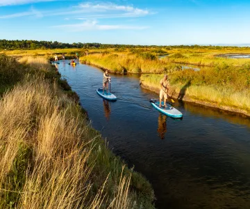 Stand Up Paddle
