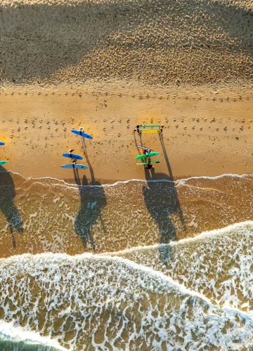 Surf et bodyboard
