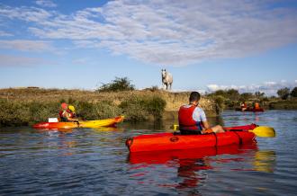 Kayak Saint-Denis d'Oléron