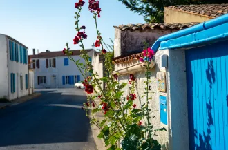 Location de vacances, Saint-Denis d'Oléron