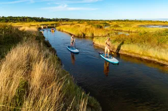 Stand Up Paddle