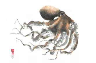 Exposition autour du Gyotaku traditionnel