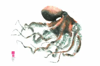 Grand poulpe couleur