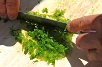 cuisine des algues 