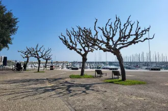 Les Rendez-vous de Saint-Denis_Saint-Denis-d'Oléron