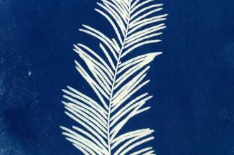 Atelier Cyanotype_Saint-Denis-d'Oléron