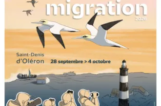 Bavardage "Biodiversité au jardin" - Festival de la Migration 2026_Saint-Denis-d'Oléron