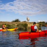 Kayak Saint-Denis d'Oléron