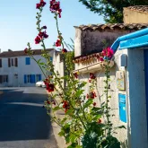 Location de vacances, Saint-Denis d'Oléron