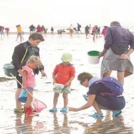 Pêche à pied