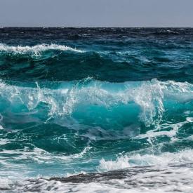 Journée Mondiale de la Mer