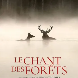 Cinéma ""Le chant des forêts"_Saint-Denis-d'Oléron