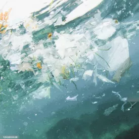 Une bouteille à la mer.
