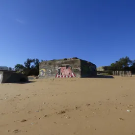 Journées Européennes du patrimoine - Visite guidée de la batterie de Saint-Denis_Saint-Denis-d'Oléron