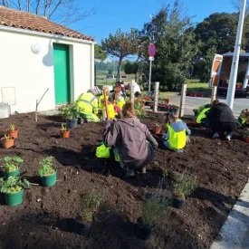 Atelier de plantation participatif_Saint-Denis-d'Oléron
