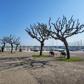 Les Rendez-vous de Saint-Denis_Saint-Denis-d'Oléron