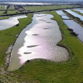 Tous dehors sur Oléron : de la dune au marais