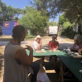 Algues : sortie découverte suivie d'un atelier cuisine