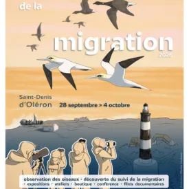 Atelier linogravure - Festival de la Migration 2026_Saint-Denis-d'Oléron