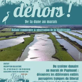 Tous dehors sur Oléron