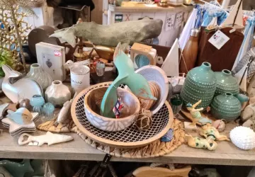 Collection bois