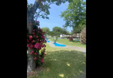 Mini-Golf