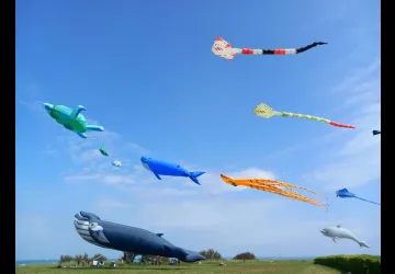 Chassiron, vent et lumière