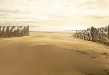 Le sud IO
