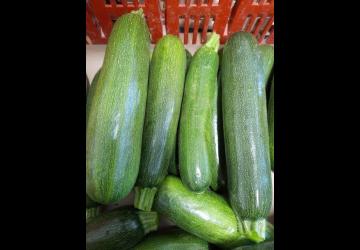 Courgettes