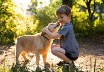 Concours : "Mon animal et moi - Histoires en image"_Saint-Denis-d'Oléron