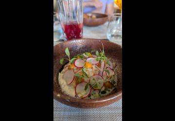 Ceviche de céleri rôti