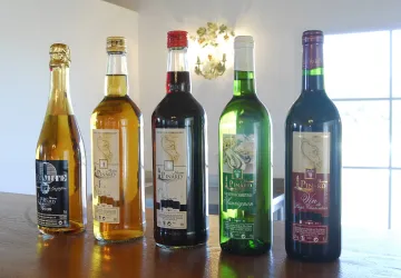 Vignoble Maxime PINARD_La Brée-les-Bains