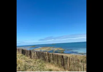 la Guinguette de Saint Denis_Saint-Denis-d'Oléron